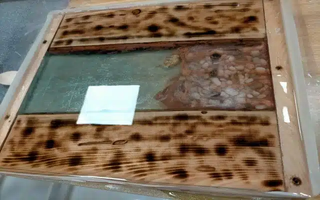 Aplicacion Resina Epoxi en Barcelona