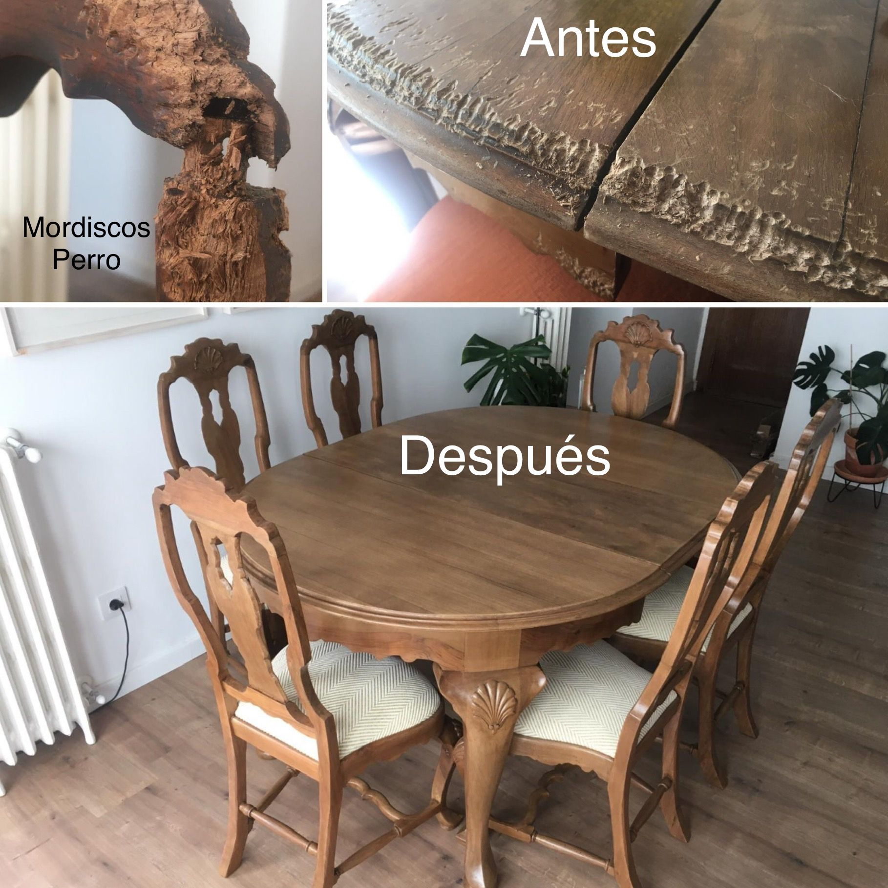 Reparación de Muebles en Barcelona y Provincia. Servicios económicos con garantía de calidad. ¡Llámanos!
